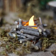 a close up of a campfire with logs