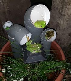 two green frogs are sitting in buckets on top of the potted planter