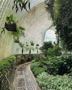 the inside of a greenhouse with lots of plants