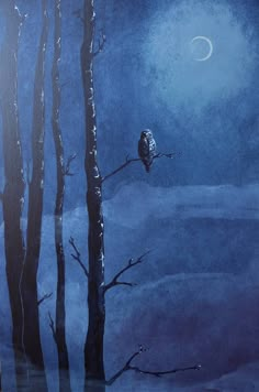 an owl is perched on a tree branch in the moonlight