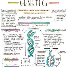 a hand drawn diagram with some words on it