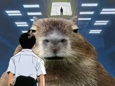 a man standing next to a groundhog in a room