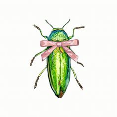 a watercolor drawing of a green bug with a pink bow on it's back