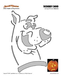 an image of a dog with a pumpkin in it's mouth and the words scooby doo