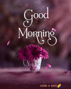 a pink flower in a white vase with the words good morning on it and purple background