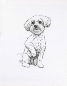 a black and white drawing of a dog sitting on the ground with its paws crossed