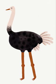 Ostrich illustration by Aniek Bartels Ostrich Illustration Cute, Ostrich Art, Ostrich Bird, Minimal Illustration, Love For Nature, Kids Labels, Childrens Drawings