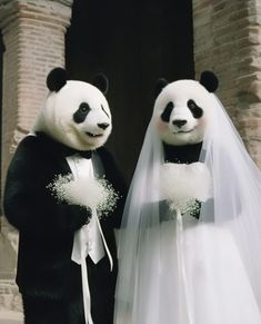 two panda bears dressed up as bride and groom