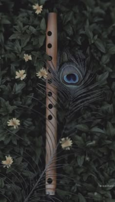 an artistic photo of a flute in the grass with flowers around it and a peacock's eye