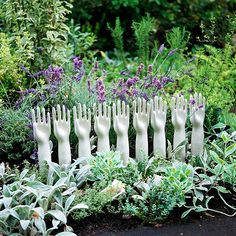 there are many white flowers and plants in the garden with long hair combs sticking out of them