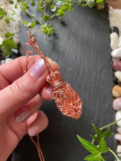 a person holding a piece of wire in their hand next to some plants and rocks