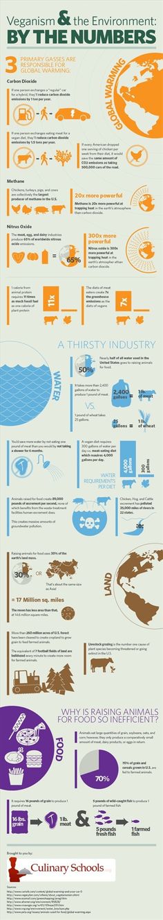 Nutritional Eating, Smoothies Vegan, By The Numbers, Vegetarian Meal, Vegan Life, Health Facts