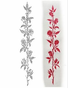 two different types of flowers are shown in red and black ink, one is drawn on white paper