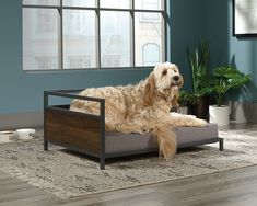 a dog laying on top of a bed in a living room next to a potted plant