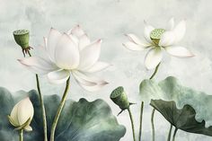 three white flowers and two green leaves in front of a gray background