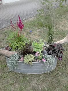 a metal tub filled with lots of different types of plants