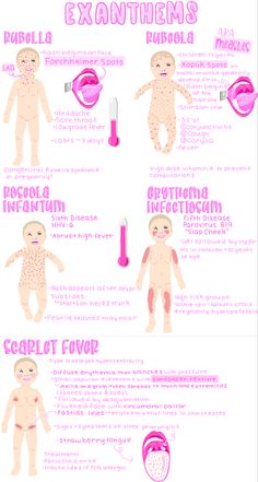 an info sheet describing the different types of human body parts and their functions in each section