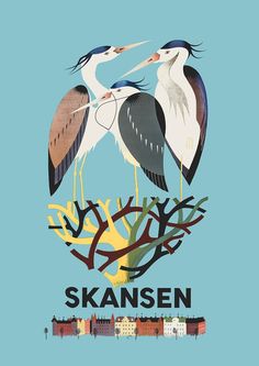 two birds sitting on top of a tree branch with the words skaansen written below it