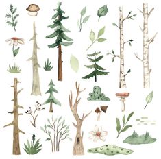 watercolor trees and plants on a white background