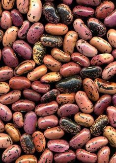 many different colored beans are shown together