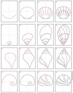 how to draw seashells step by step