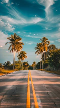 the road is lined with palm trees and yellow lines on both sides, under a blue cloudy sky