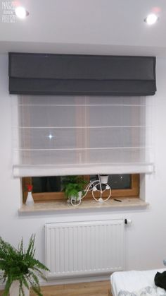 a room with a window, radiator and plants