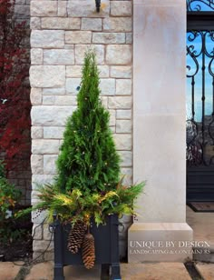 a tall potted tree sitting next to a building