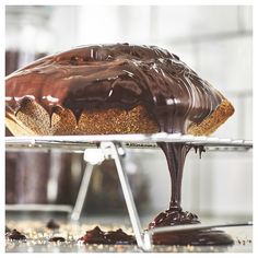 a chocolate covered cake sitting on top of a metal rack