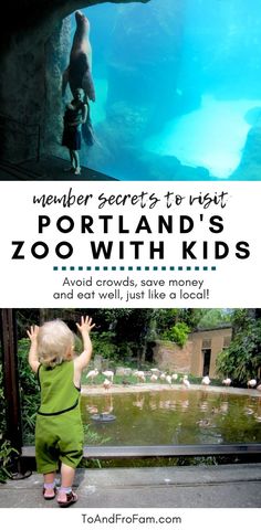 a child looking at an aquarium with text overlay that reads, when secrets to visit portland's zoo with kids avoid crowds