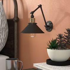 a potted plant sitting on top of a table next to a wall mounted light