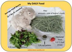 a stuffed animal sitting on top of a table next to vegetables