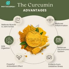 the benefits of curcumin for dogs and cats info graphic on white background