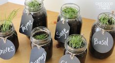 several jars filled with grass and some chalkboards