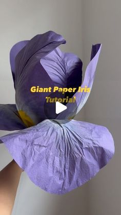 a purple flower with the words giant paper flowers on it's center and bottom