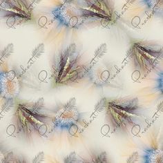 an abstract photo of feathers and flowers on a white background with blue, yellow and green colors