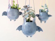 three blue ceramic fish planters with succulents hanging from the ceiling,