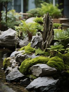 moss growing on rocks and plants in a garden with water running through it's center