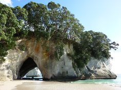 Te Whanganui-A-Hei — Wikipédia Cathedral Cove, Prince Caspian, South Pacific, Mount Rushmore, Beautiful Places, New Zealand, Arch, Favorite Places, Natural Landmarks