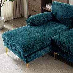 a large green couch sitting on top of a wooden floor next to a plant in a living room