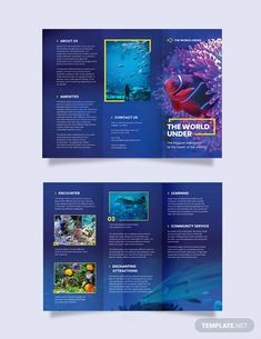 a blue tri fold brochure with an underwater scene