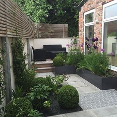 an outdoor patio area with plants and flowers