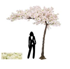 a woman standing next to a tree with white flowers