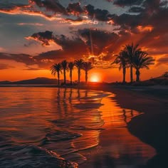 Golden Beach Scenic Wallpapers Sunset Landscape Photography, Scenic Wallpaper, Yoga Studios, Golden Beach