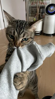 a cat is holding onto a sweater on the floor with it's paw sticking out