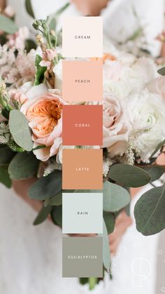 This mood board features a serene peach and eucalyptus color palette, combining soft, warm tones of peach and coral with cool, refreshing hues of light sage, soft green, and creamy neutrals. The overall design exudes natural elegance, perfect for small business branding or weddings. The balance of earthy greens and warm peach shades creates a harmonious, calming aesthetic, ideal for modern, sophisticated themes with a touch of organic beauty and romance. Peach Grey Wedding, Light Coral Wedding, Grey And Peach Color Palette, Light Blue Terracotta Wedding, Peach Cream Green Wedding, Coral Wedding Palette, March Wedding Palette, April Wedding Color Palette, Popular Wedding Color Schemes