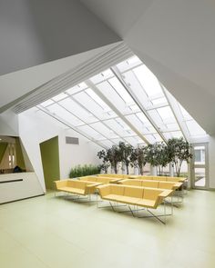 an empty room with yellow couches and plants in the center, under a slanted roof