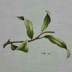 a branch with green leaves on it