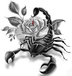 a scorpion with a rose tattoo design on it's back