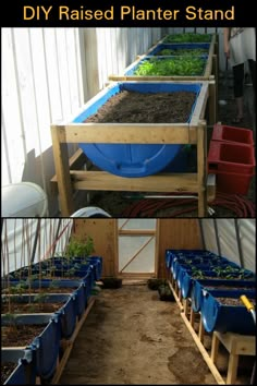 two pictures show different stages of growing plants in an outdoor garden area with text overlay that reads diy raised planter stand